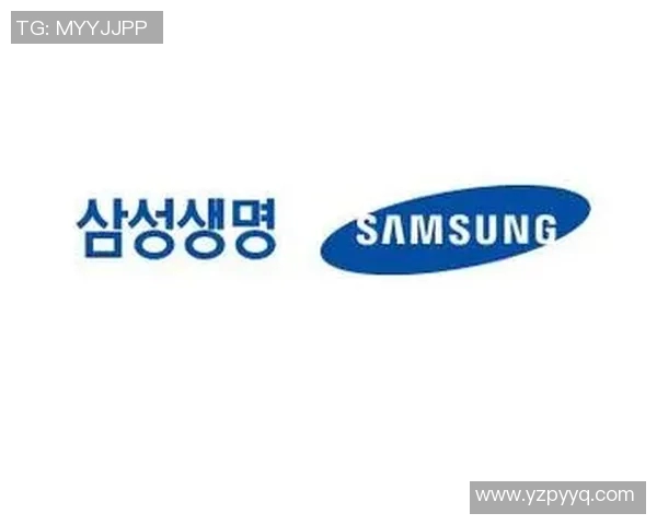 新韩银行与三星生命的战略对决与未来发展潜力分析 新韩银行与三星生命的战略对决与未来发展潜力分析