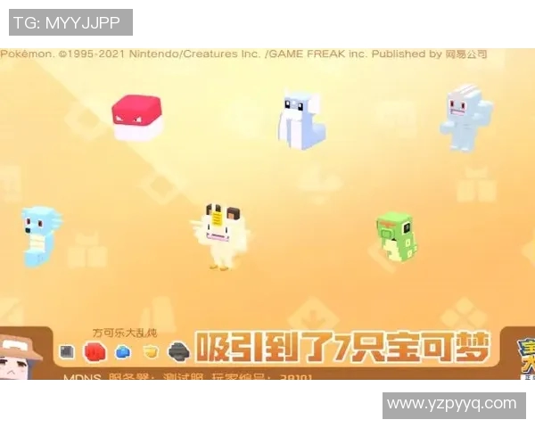 专访陈秀英：揭示她在网球领域取得成功的秘诀与经验分享