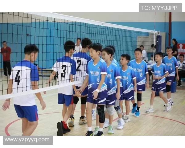 深圳排球队在钻石联赛中的状态解析与表现评估 深圳排球队在钻石联赛中的状态解析与表现评估