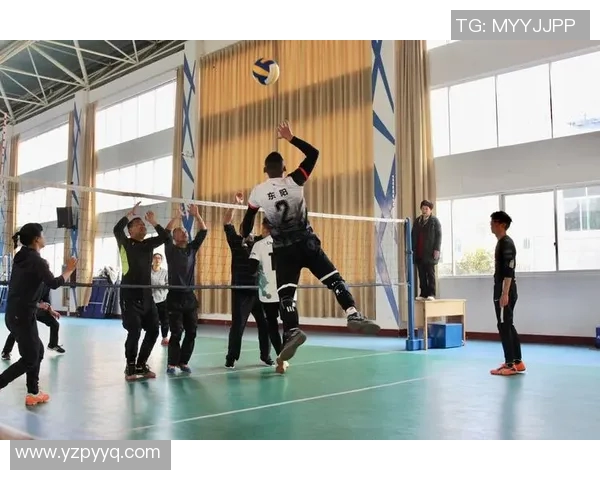 刘秀英独家分享排球技巧与心得体会助你提升球技的秘密秘籍