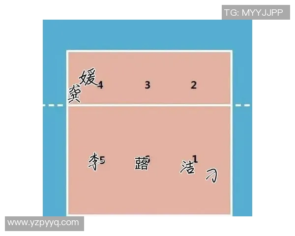 赛后分析：上海排球队与南京排球队灵活性对比及战术探讨
