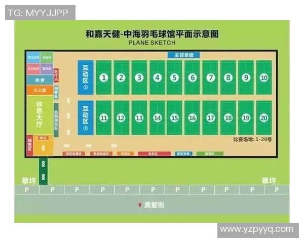 成都羽毛球队反击之路的得失与启示分析