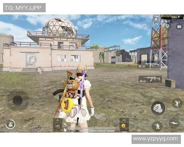 和平精英战术解析：WE战队防反体系的深度剖析与实战应用