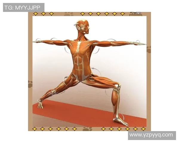 瑜伽用品精选指南：提升练习体验的必备工具与选择技巧