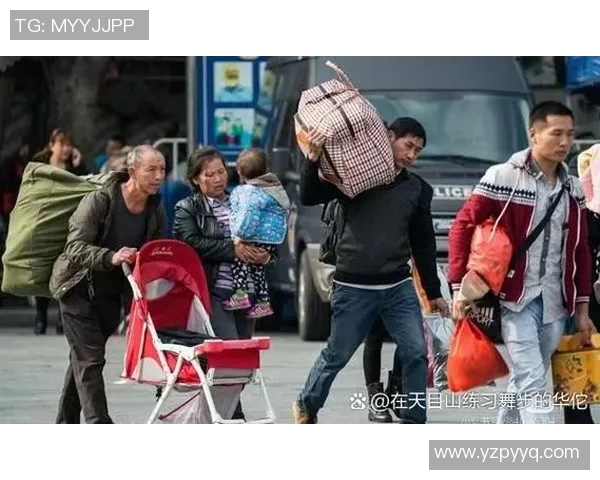 专访张秀英:探寻排球背后的成功秘诀与奋斗故事